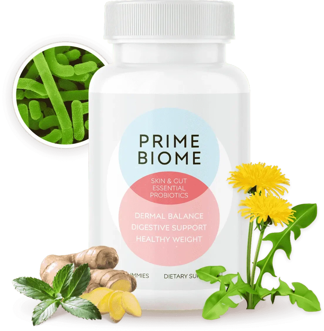 PrimeBiome bottle